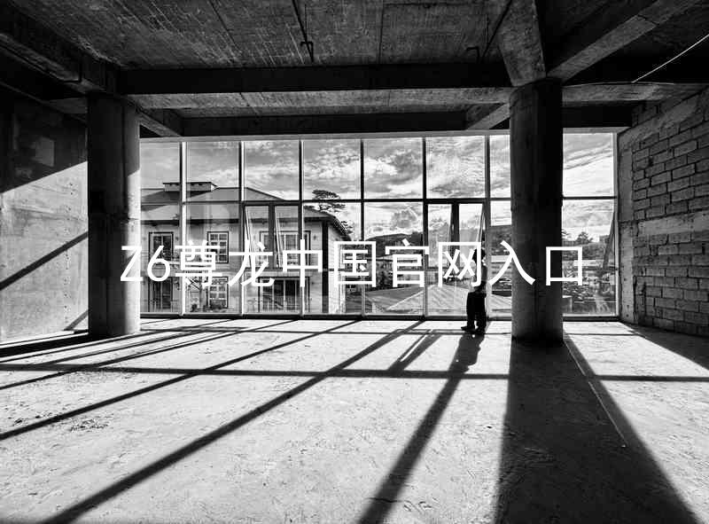 Z6尊龙中国官网入口
