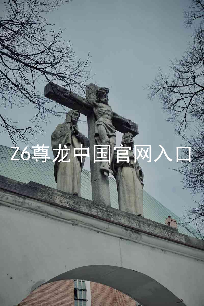 Z6尊龙中国官网入口