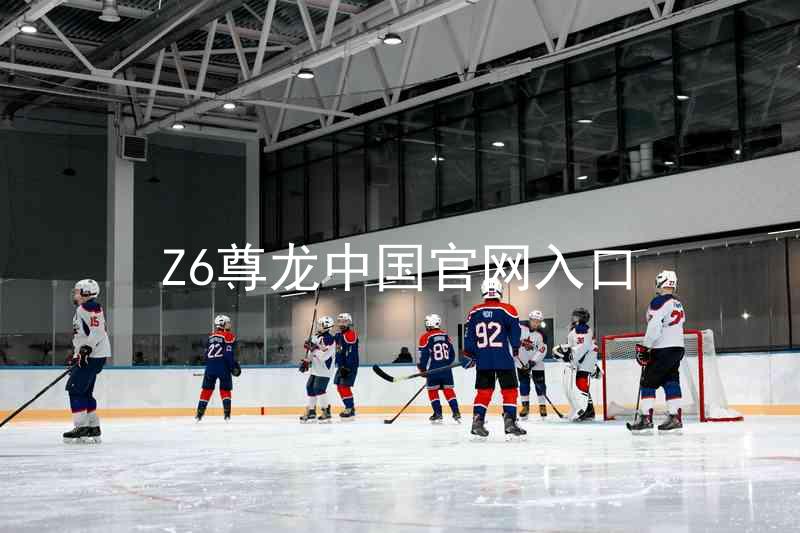 Z6尊龙中国官网入口